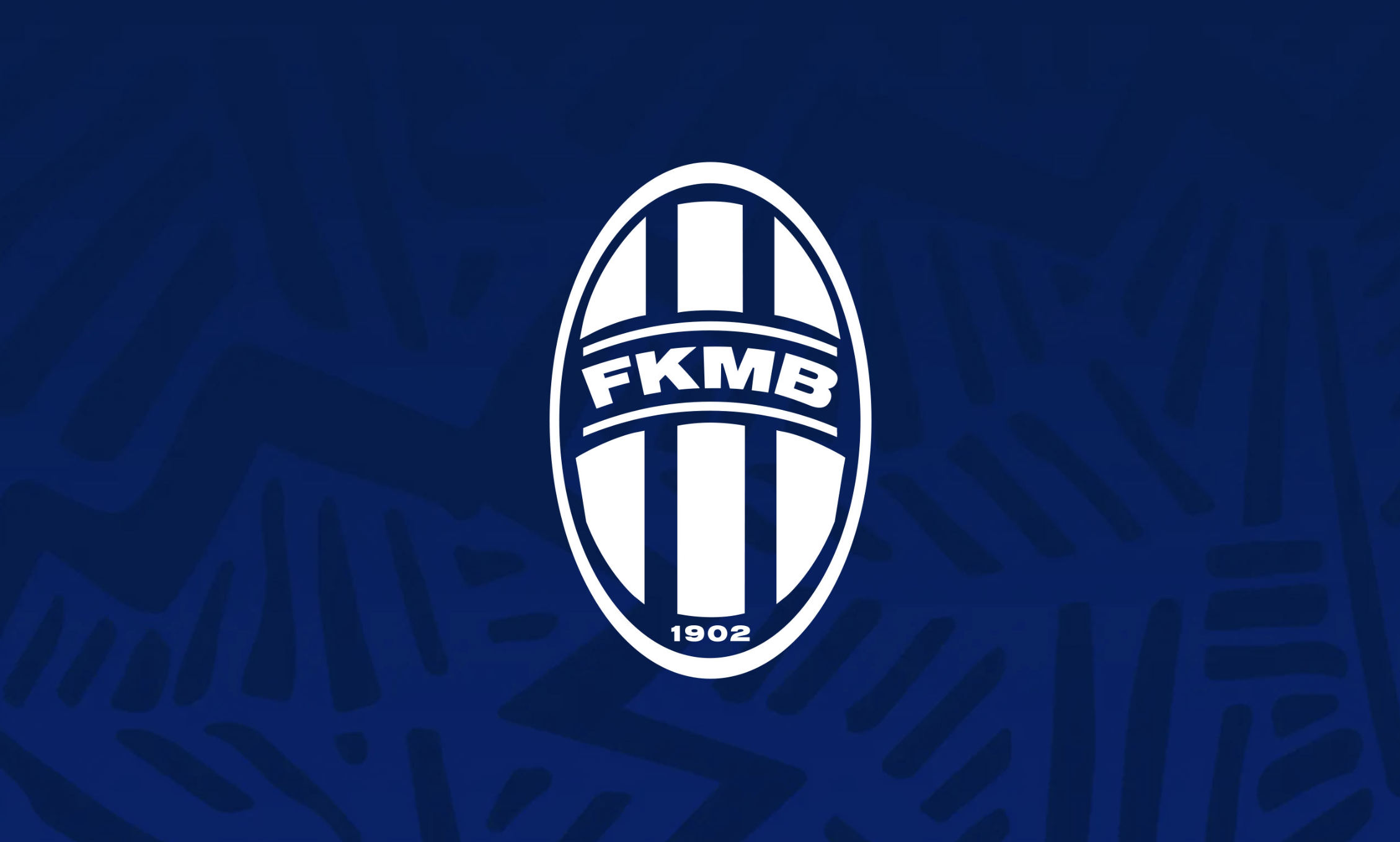 Mladá Boleslav je český profesionální fotbalový klub