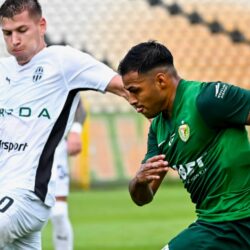 Vliv investorů na rozvoj fotbalového klubu Mladá Boleslav