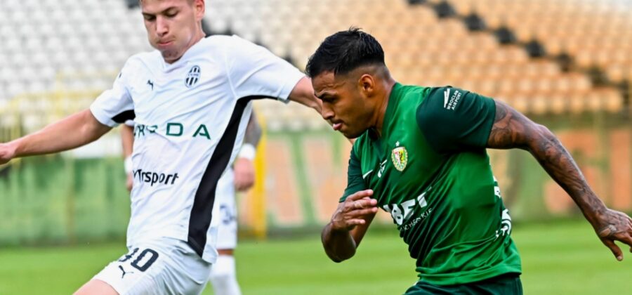 Vliv investorů na rozvoj fotbalového klubu Mladá Boleslav