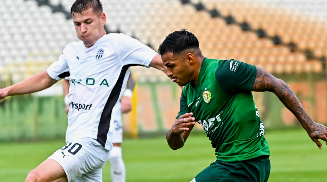 Vliv investorů na rozvoj fotbalového klubu Mladá Boleslav